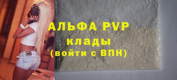 ешки Новодвинск