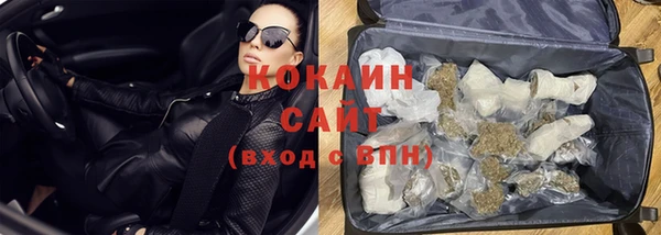 ешки Новодвинск