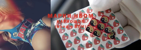 ешки Новодвинск