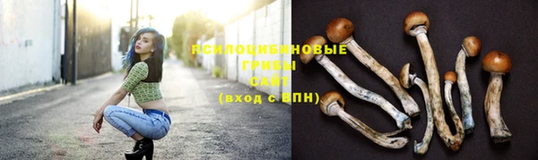 ешки Новодвинск