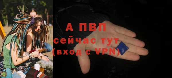 ешки Новодвинск