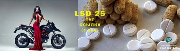 ешки Новодвинск
