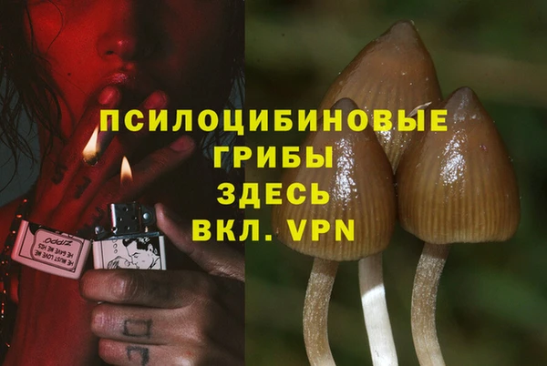 ешки Новодвинск