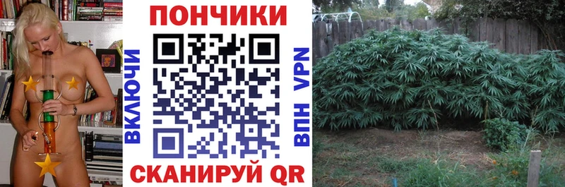 Шишки марихуана MAZAR  Купить где  Горбатов 